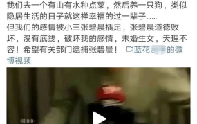 吃瓜娱乐营销号,流量密码与舆论操控