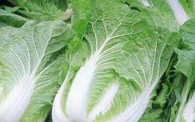 白菜价格,从菜贱伤农到菜贵伤民，探寻蔬菜价格背后的秘密”