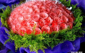西安鲜花速递,传递美好，瞬间抵达”