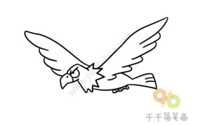 老鹰图片大全,高清图片集锦，领略猛禽之美